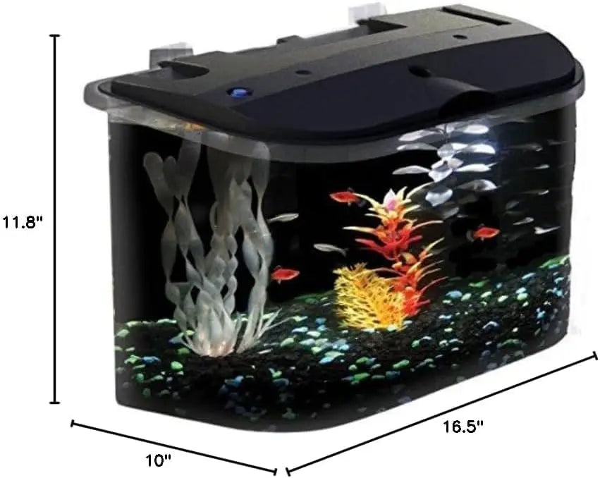 5-Gallon Aquarium Kit with LED Lighting and Power Filter for Tropical Fish
