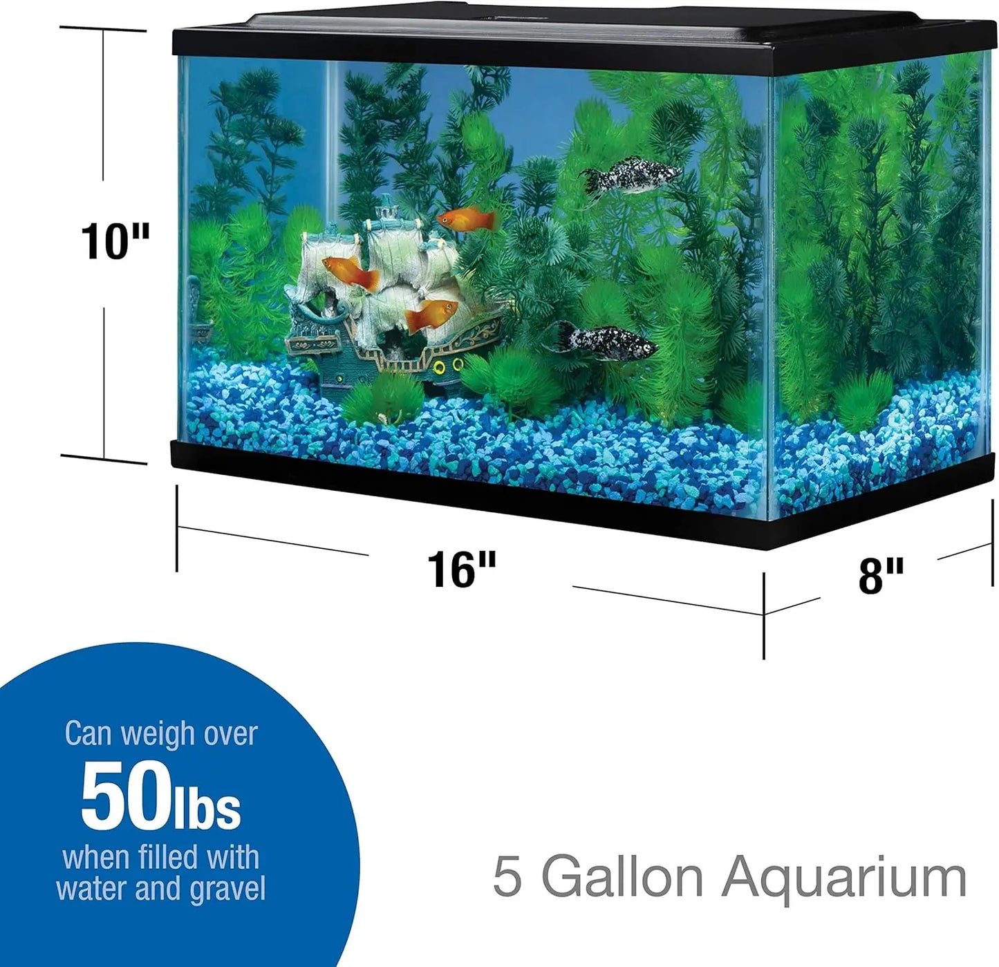 5.5 Gallon Rectangular Glass Fish Tank, Ideal Home for Aquatic Pets
