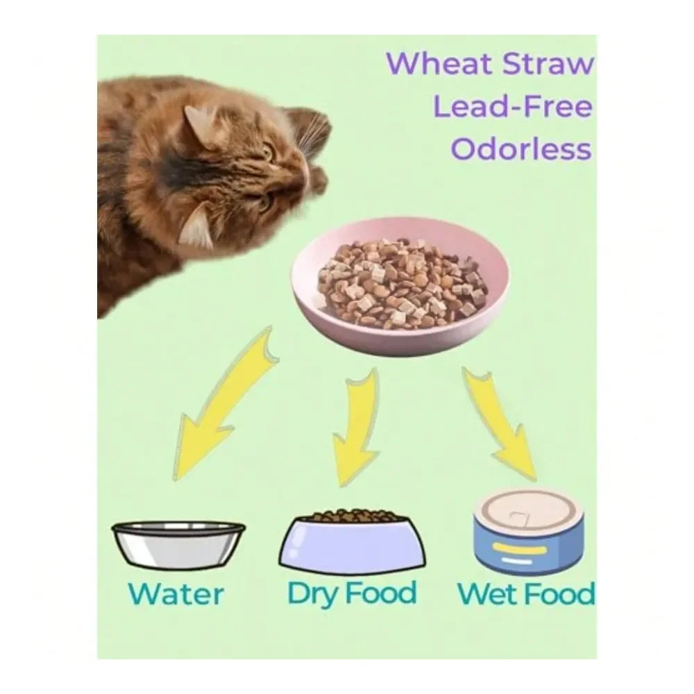 Dog Supplies Dogs Accessories Cat Food Bowl With NonSlip Feet Whisker Fatigue Cat Dishes For Food Plastic Cats Bowls Set For Mul