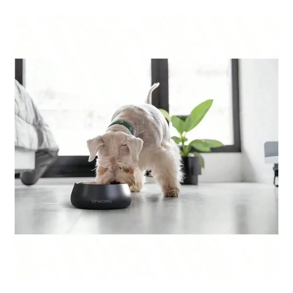 Dog Supplies Dogs Accessories Steel Dog Bowl U2013 32oz Weighted Metal Food And Bowls Dogs And Cats With Non Slip Base Pet Bowls