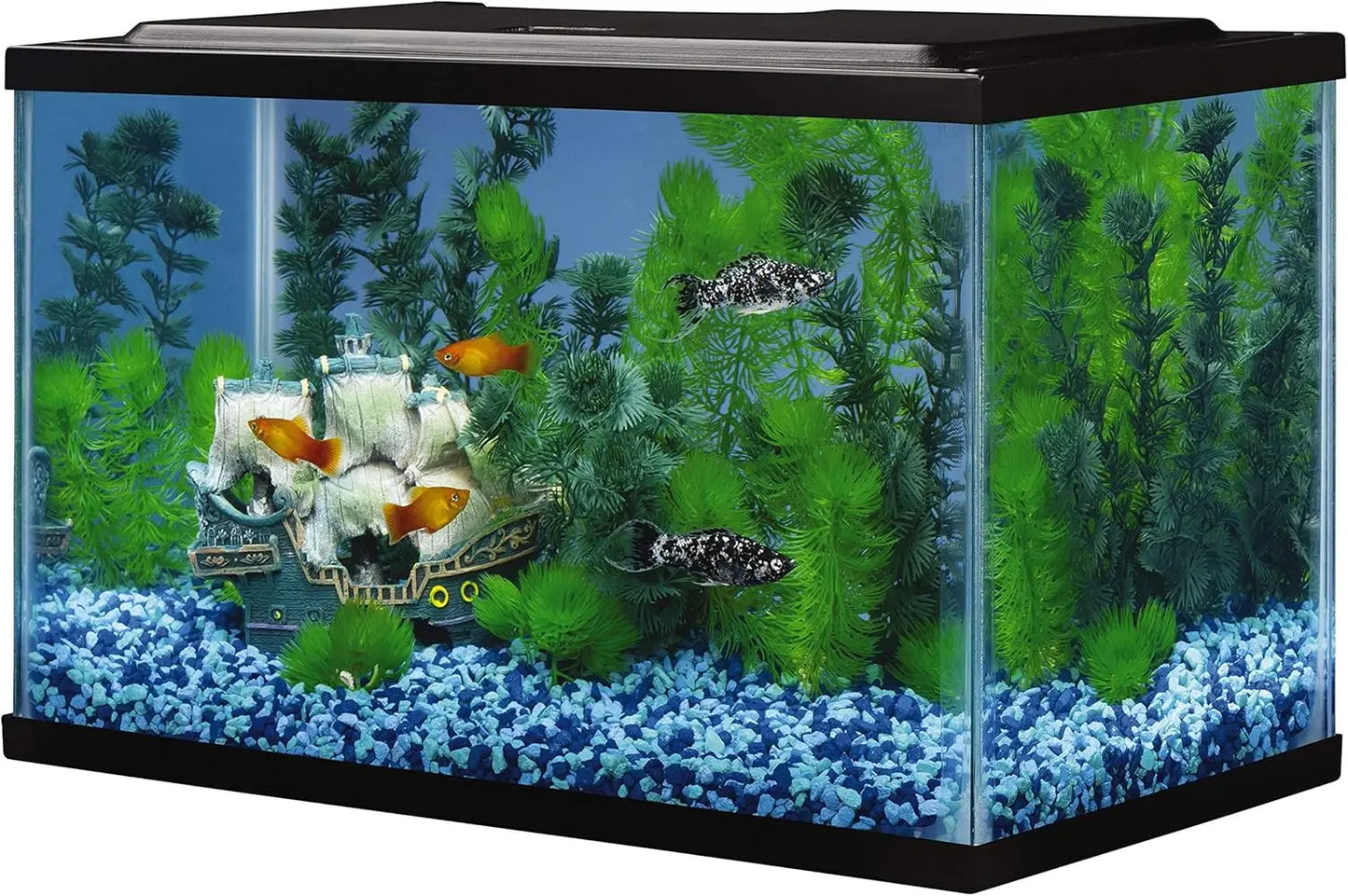 5.5 Gallon Rectangular Glass Fish Tank, Ideal Home for Aquatic Pets