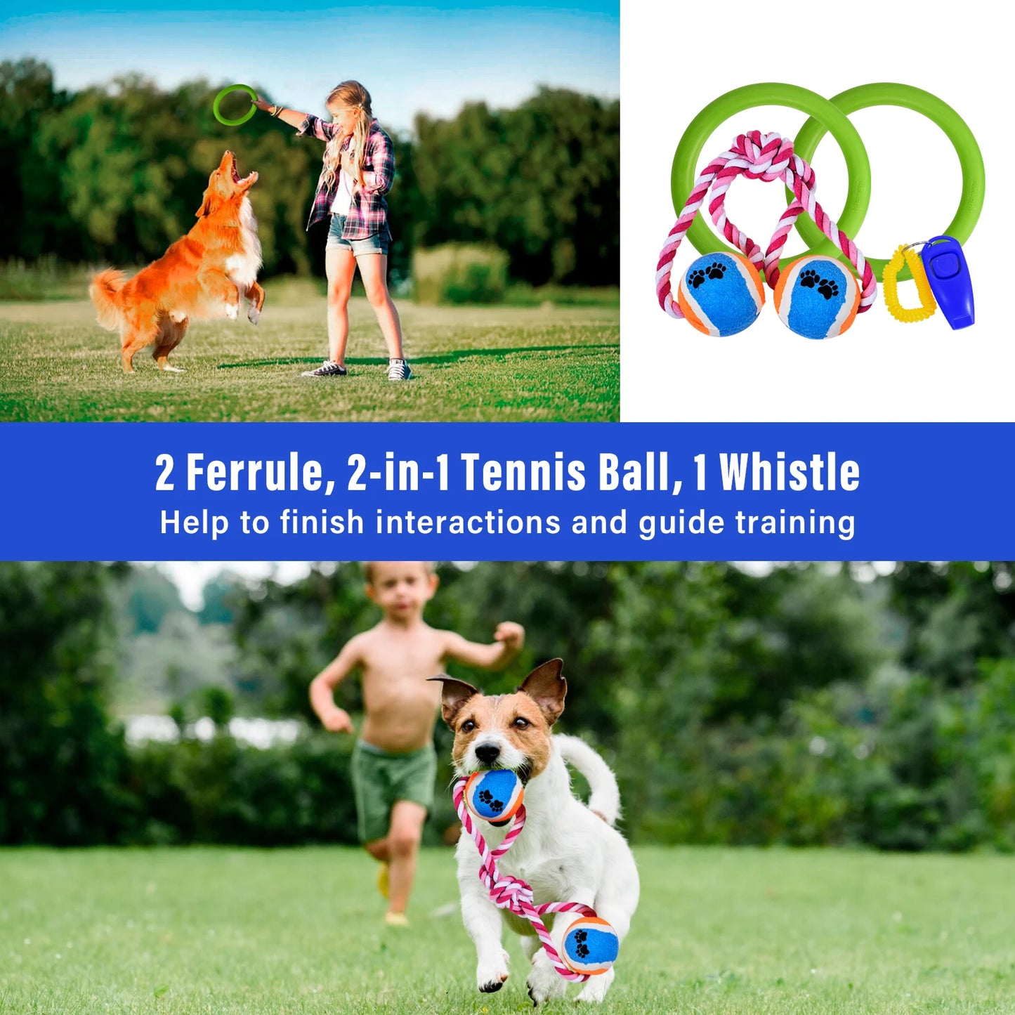 Dog Agility Course Backyard Set Dog Training Kit with 2 Tunnels, Hoop Jump, 2 Hurdle Jumps, 6 Weave Poles, Pause Box, Whistle