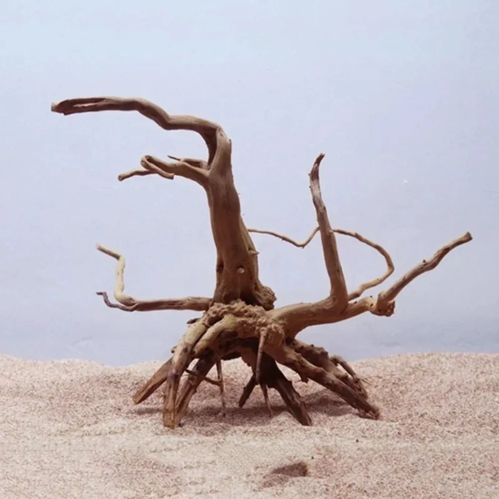 Natural Tree Trunk Driftwood Aquarium Fish Tank Reptile 2026Roots Plant Wood Decoration Ornament Accessory Aquarium Plants