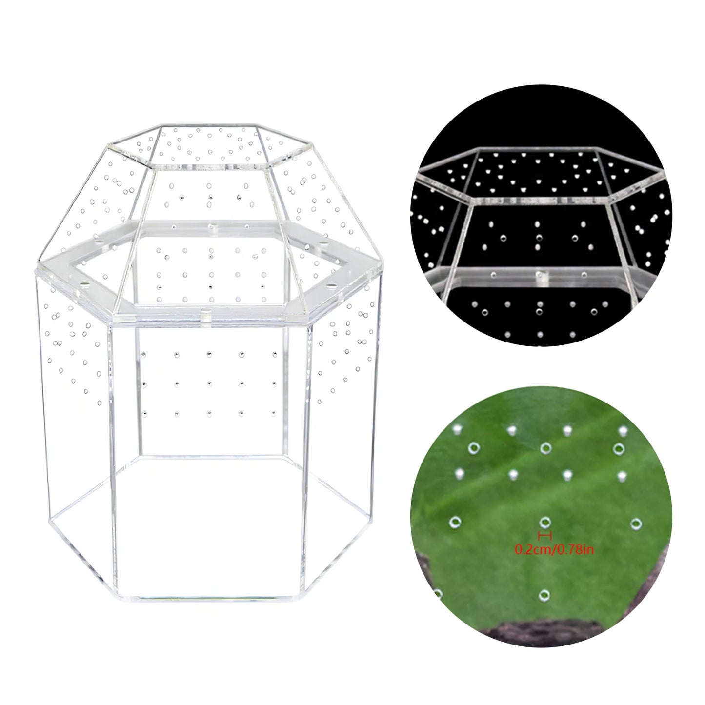 Jumping Spider Enclosure Acrylic Terrarium Habitat All-Side Ventilation Reptile Breeding Box Ventilated for Frog Crickets Snails