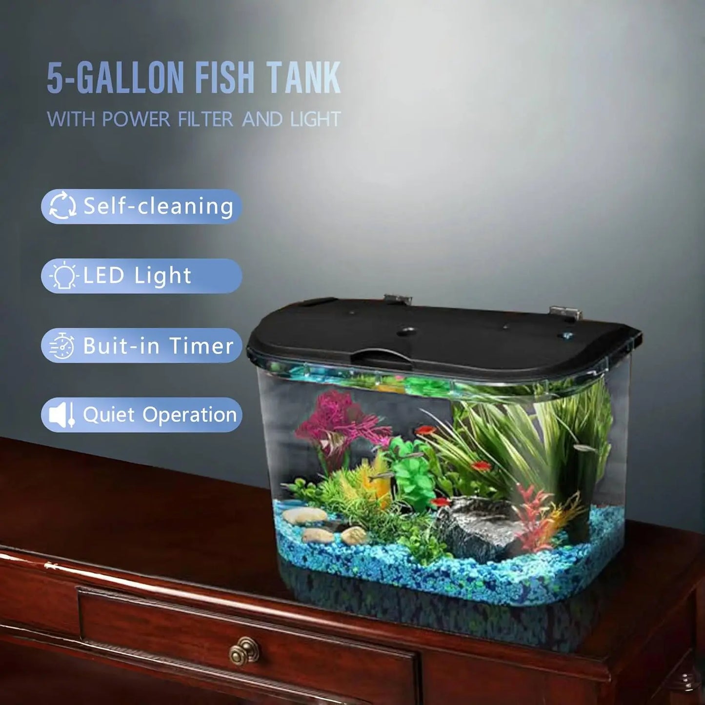5-Gallon Aquarium Kit with LED Lighting and Power Filter for Tropical Fish