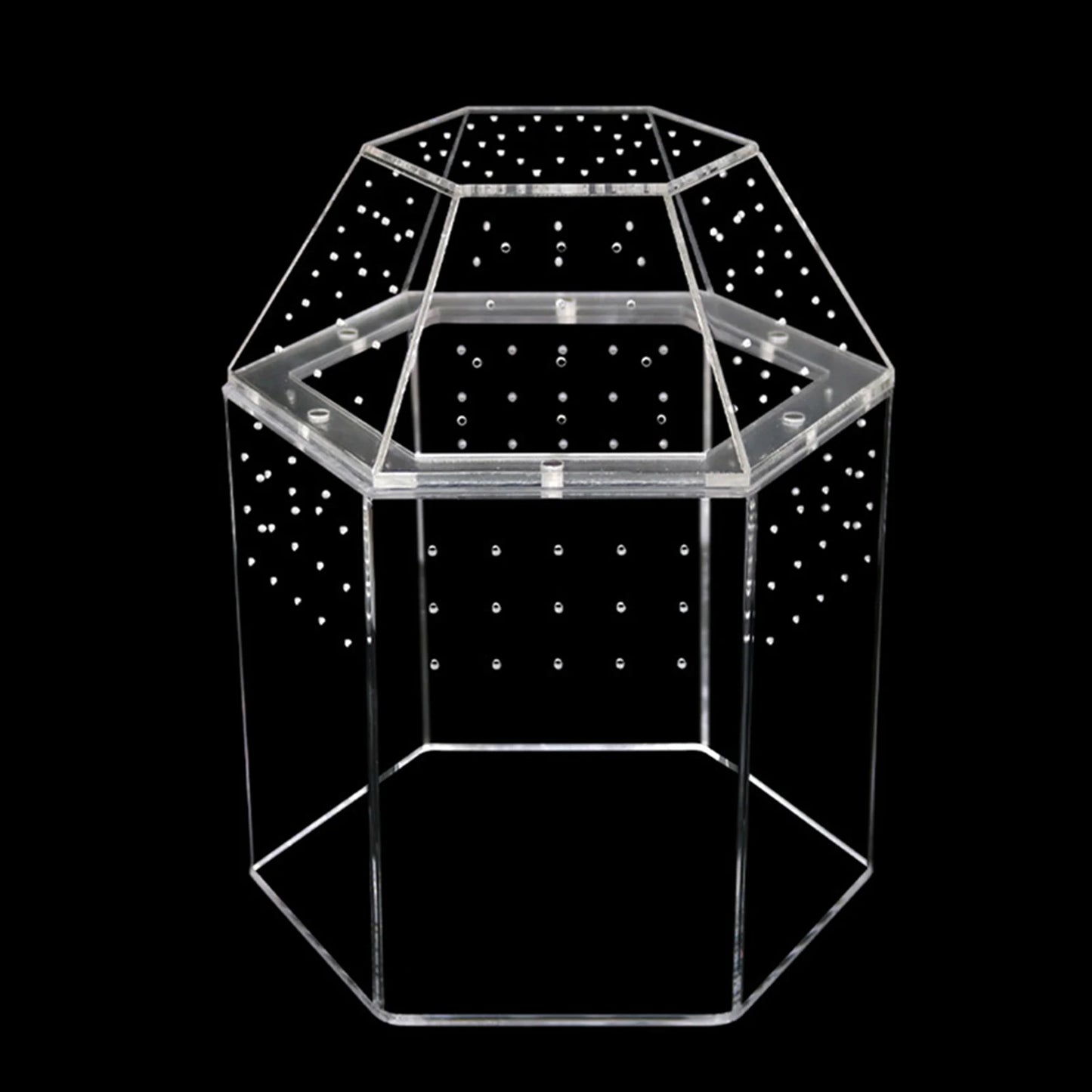 Jumping Spider Enclosure Acrylic Terrarium Habitat All-Side Ventilation Reptile Breeding Box Ventilated for Frog Crickets Snails