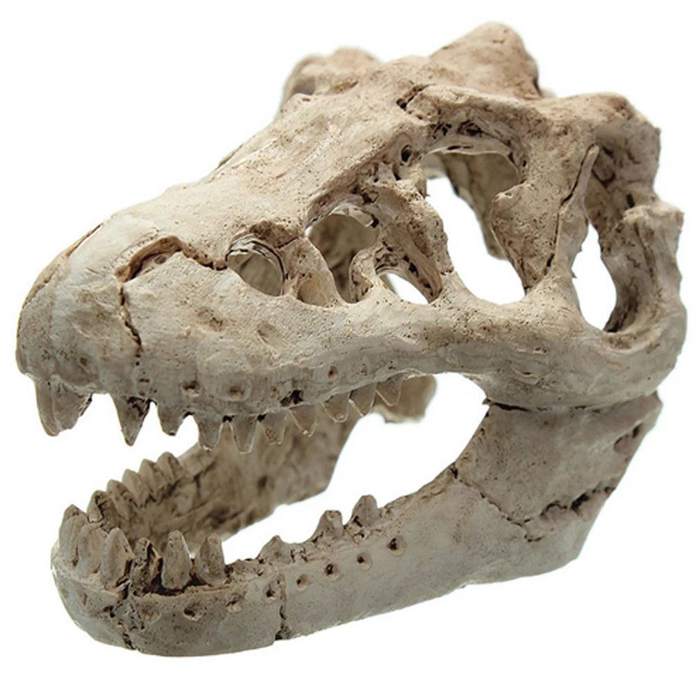 Resin Dinosaur Ornaments Decorative Props Mini Crocodile Head Decoration Crafts Arts Artificial Decor for Aquarium Landscaping