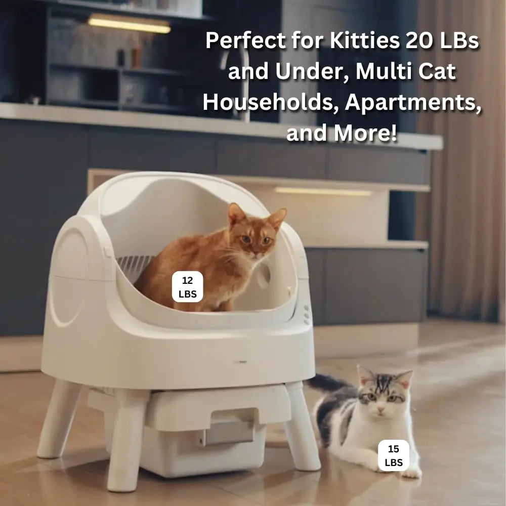 Self Cleaning Open Top Automatic Cat Litter Box for Multiple Cats, Open-Top Design for Integrated Safety, Quiet, Custom