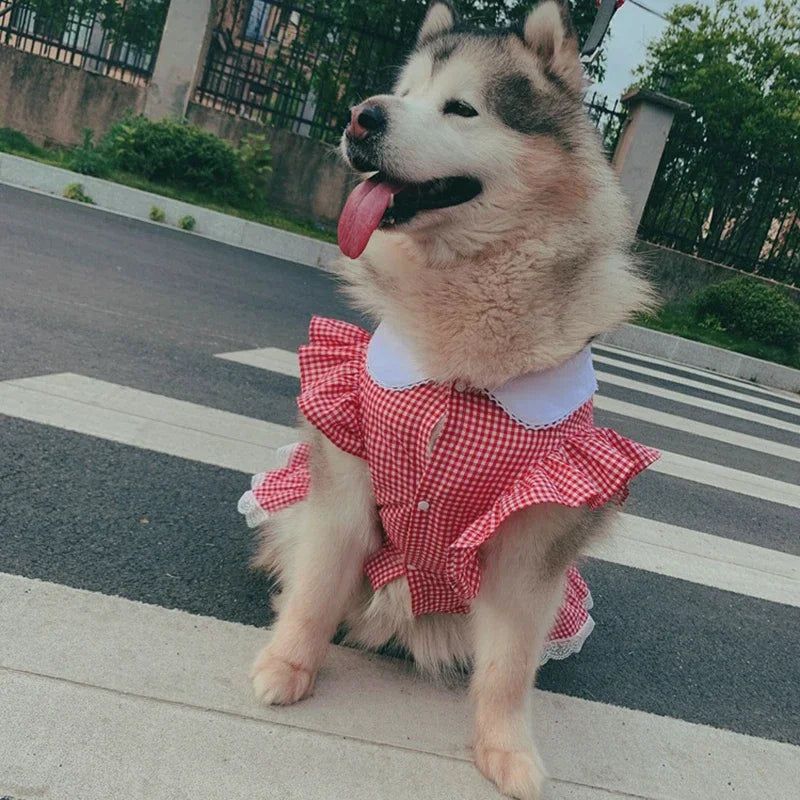 Dog Dress Summer Plaid Breathable Pet Clothes for Medium Large Dogs Outdoor Walking Supplies Puppy Clothes Dog Clothes Designer