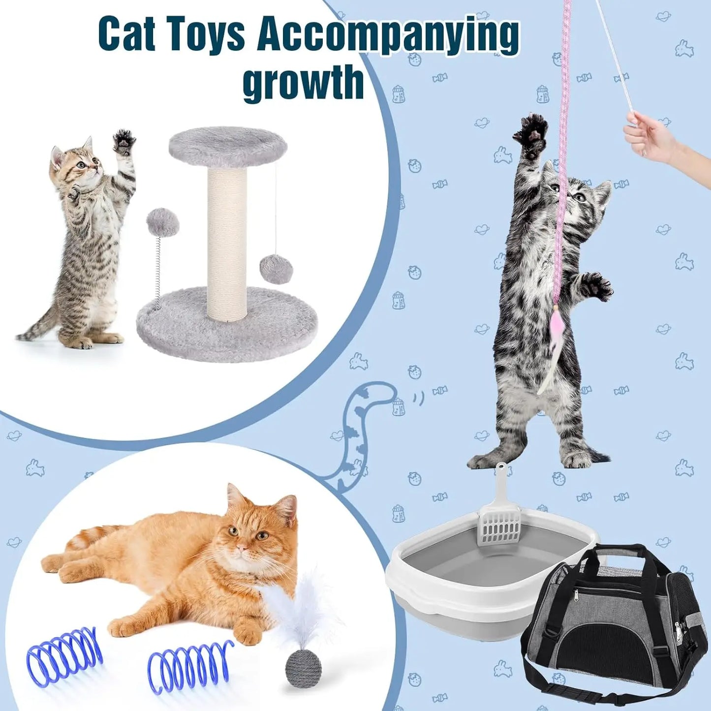 Kitten Starter Kit, 10 Pcs Cat Starter Kit for Indoor Cats Kitten Essentials Includes Litter Box, Pet Toy, Folding Carrier
