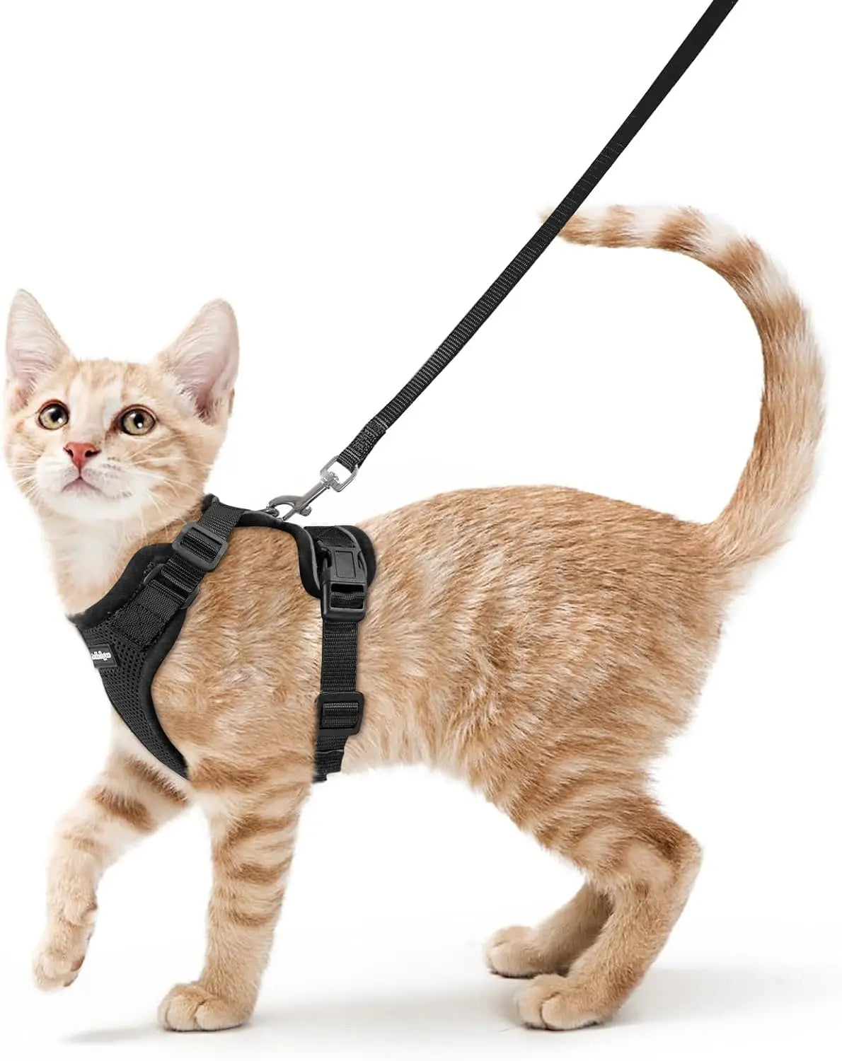 Escape Proof Cat Harness and Leash, Adjustable Soft Vest with Reflective Strips for Easy Walking Control, Black XS