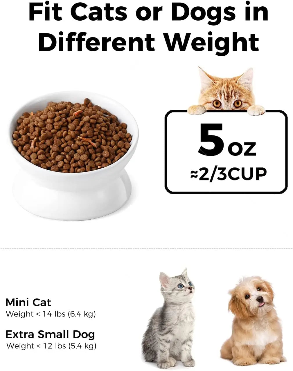 Elevated Cat Food Bowl, 5 Oz Ceramic Raised and Tilted Water Bowl, Anti Vomiting and Protect Pets' Spines Dishes for Small Dog,