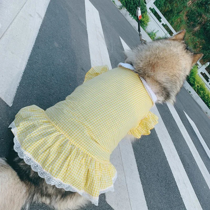 Dog Dress Summer Plaid Breathable Pet Clothes for Medium Large Dogs Outdoor Walking Supplies Puppy Clothes Dog Clothes Designer