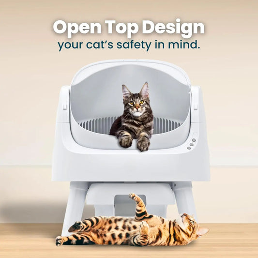Self Cleaning Open Top Automatic Cat Litter Box for Multiple Cats, Open-Top Design for Integrated Safety, Quiet, Custom