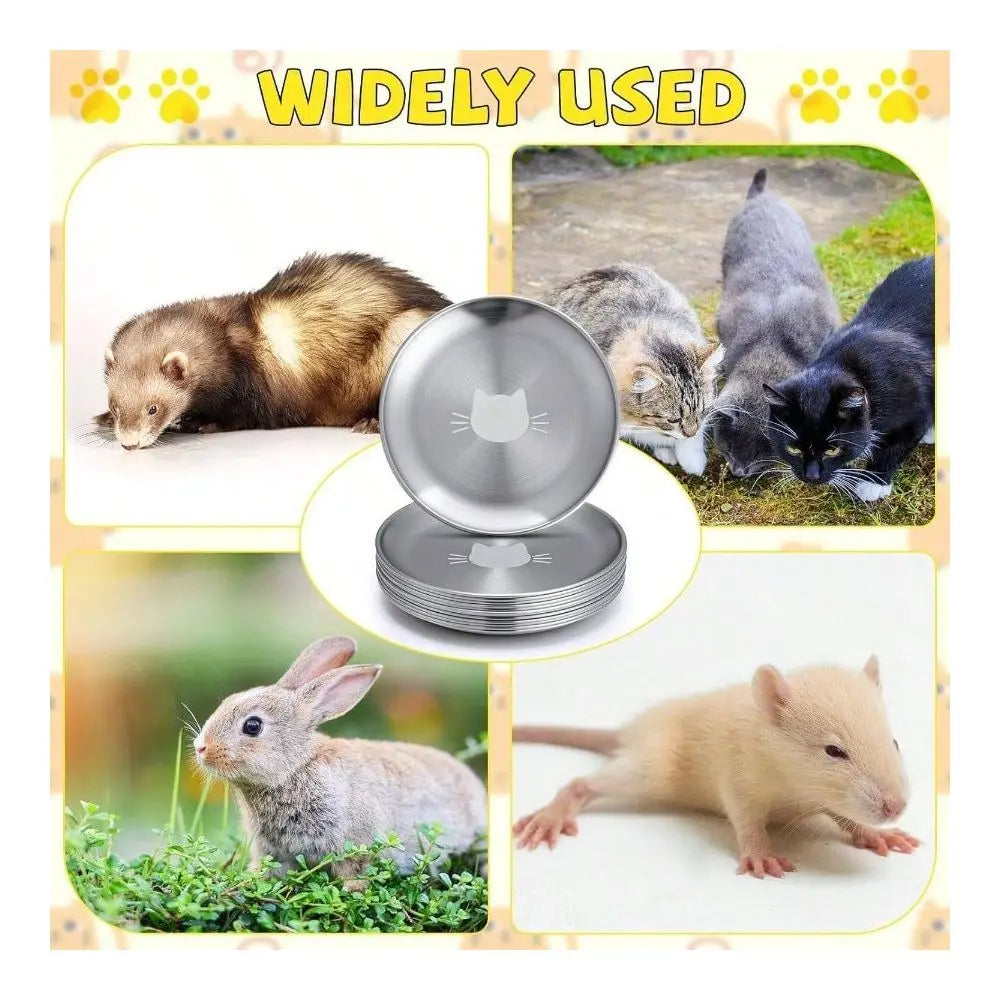 Dog Supplies Dogs Accessories Pieces Stainless Steel Whisker Friendly Bowl Shallow Food Dish 6. Inch Wet Feeding Bowls Flat Pet