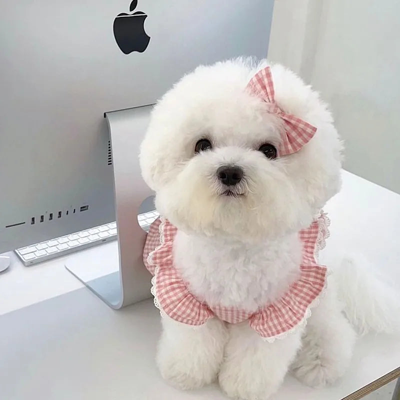 Spring/summer new pet dog dress pink plaid lace lace soft and comfortable pet clothes suitable for cats and dogs