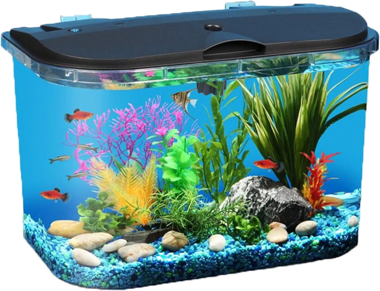 5-Gallon Aquarium Kit with LED Lighting and Power Filter for Tropical Fish