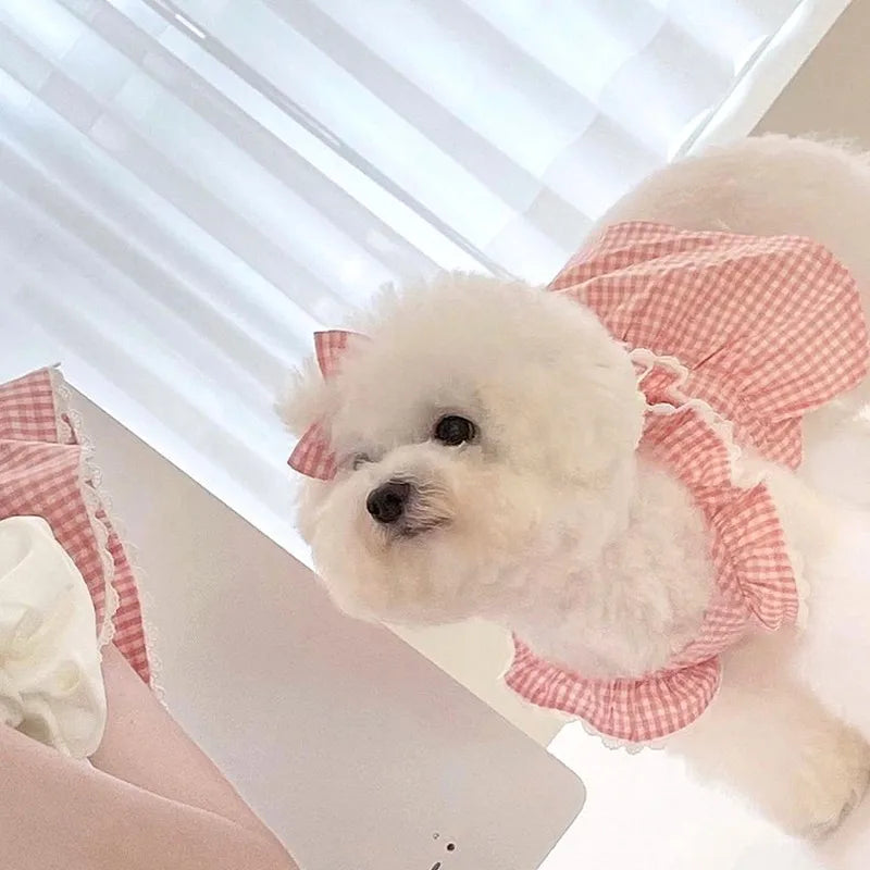 Spring/summer new pet dog dress pink plaid lace lace soft and comfortable pet clothes suitable for cats and dogs