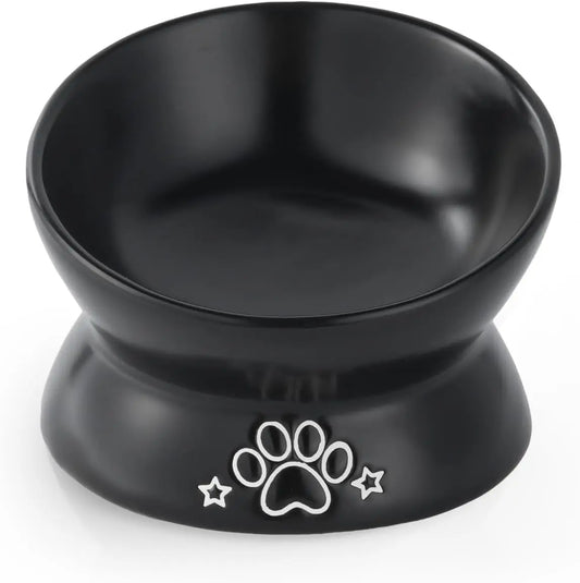 Elevated Cat Food Bowl, 5 Oz Ceramic Raised and Tilted Water Bowl, Anti Vomiting and Protect Pets' Spines Dishes for Small Dog,