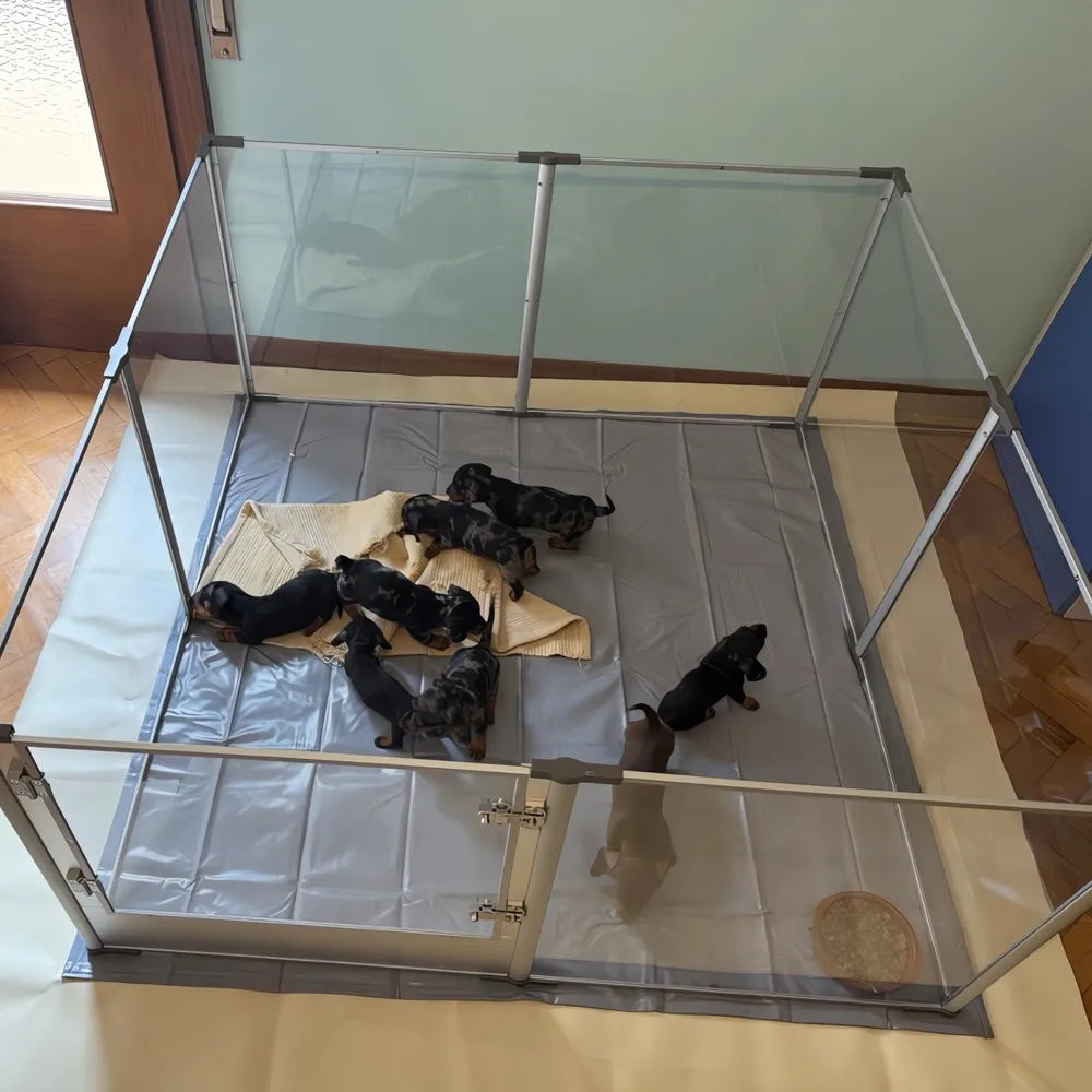 XXL Acrylic Dog Playpen Clear Exercise Enclosure Pet Animal Bunny Ferret Dog Cage Pet Whelping Box with Waterproof Fertility Pad