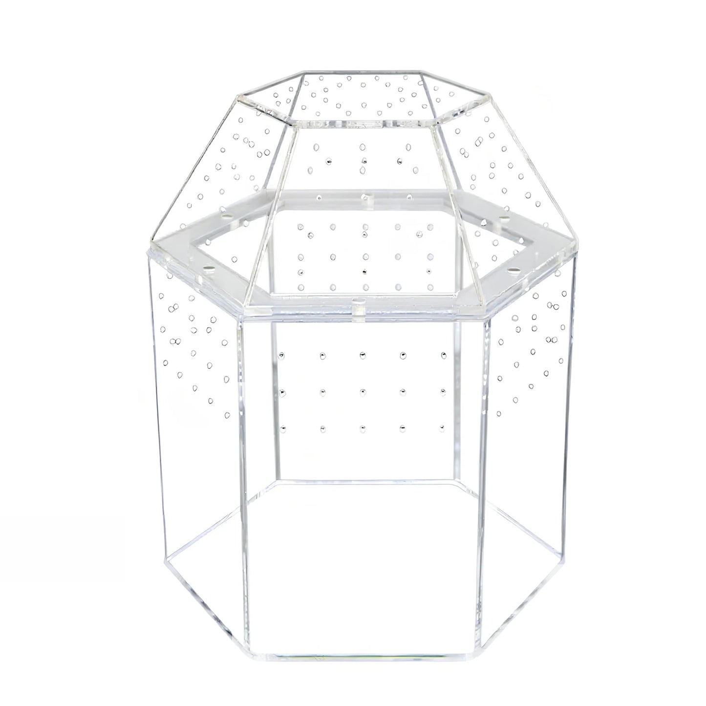 Jumping Spider Enclosure Acrylic Terrarium Habitat All-Side Ventilation Reptile Breeding Box Ventilated for Frog Crickets Snails