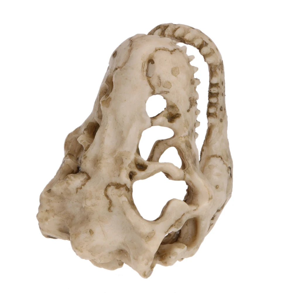 Resin Dinosaur Ornaments Decorative Props Mini Crocodile Head Decoration Crafts Arts Artificial Decor for Aquarium Landscaping