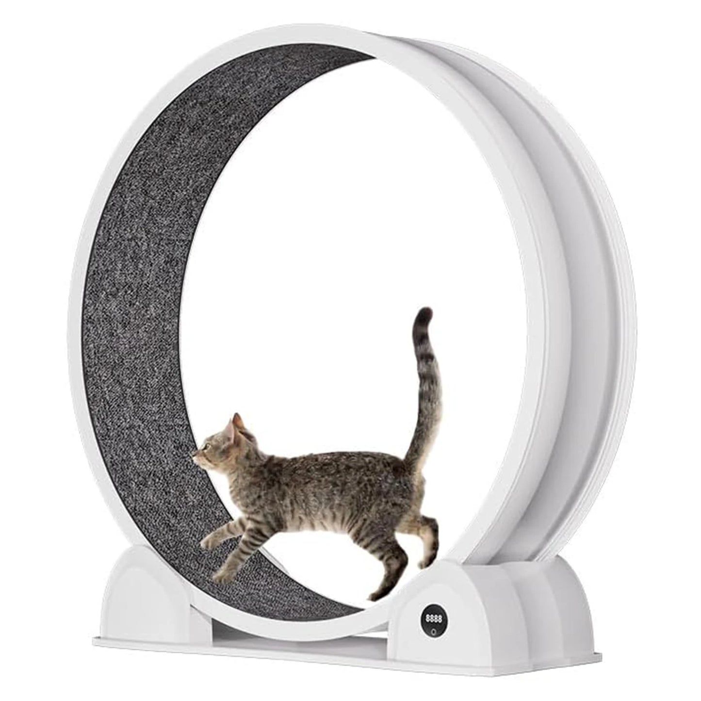 Cat Exercise Wheel for Indoor Cats, ABS Cat Wheel Exerciser Quiet Cats Treadmill with Pedometer, Small Animal Running Wheels
