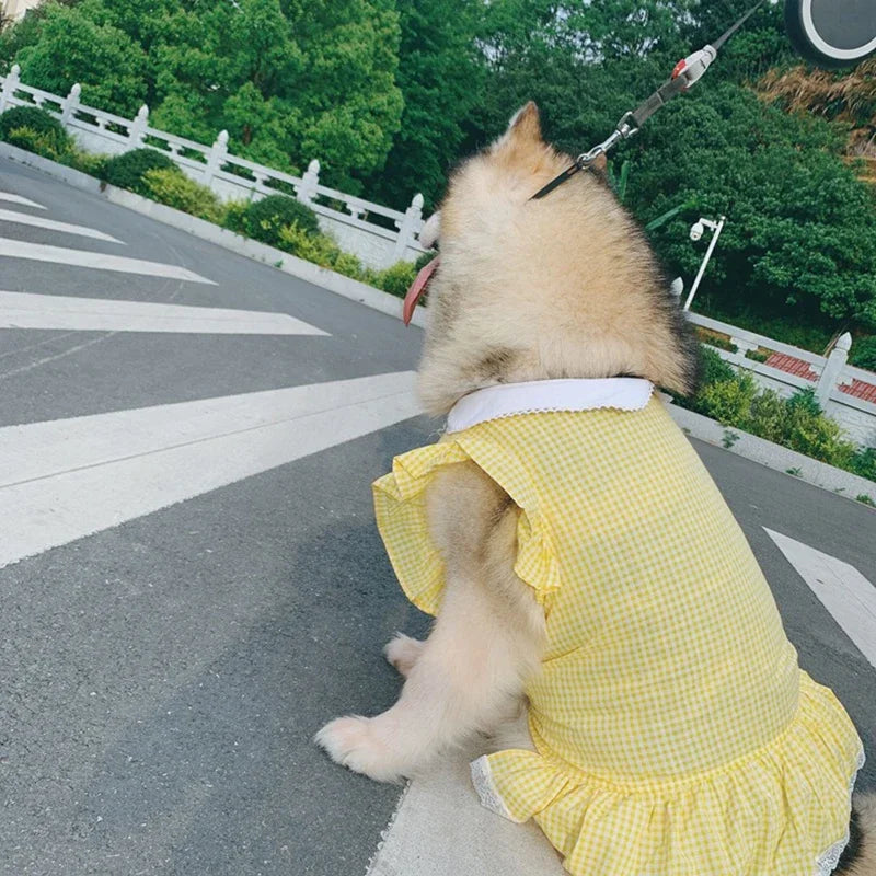 Dog Dress Summer Plaid Breathable Pet Clothes for Medium Large Dogs Outdoor Walking Supplies Puppy Clothes Dog Clothes Designer