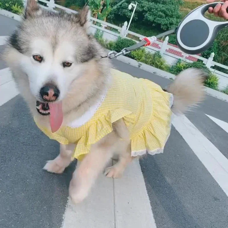 Dog Dress Summer Plaid Breathable Pet Clothes for Medium Large Dogs Outdoor Walking Supplies Puppy Clothes Dog Clothes Designer