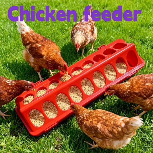 Multi-Hole Chick Brooder Feeding Trough, Anti-Waste Poultry Feeder for Chickens, Quails & Leghorns, Durable Farming Accessory