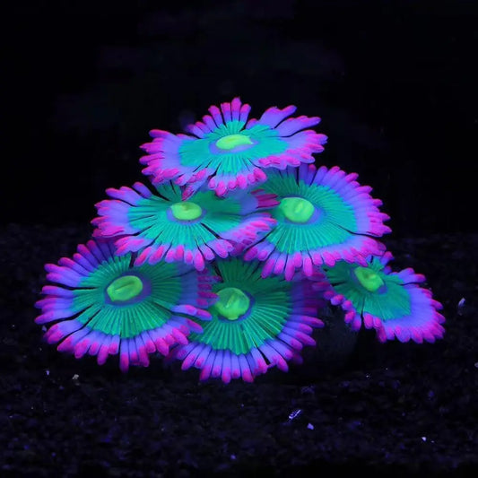 Glowing Soft Anemone Aquarium Decor Silicone Glow in Dark Artificial Plants for Fish Tank Landscape Bowl Accessories