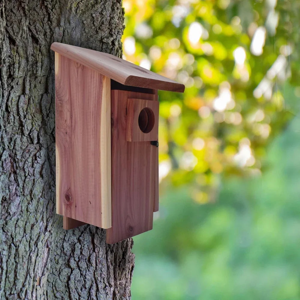 Red Cedar Bluebird House Outdoor Nesting Box Easy Clean Ventilated Mounting Pole Flush Weather Resistant Wild Bird Shelter