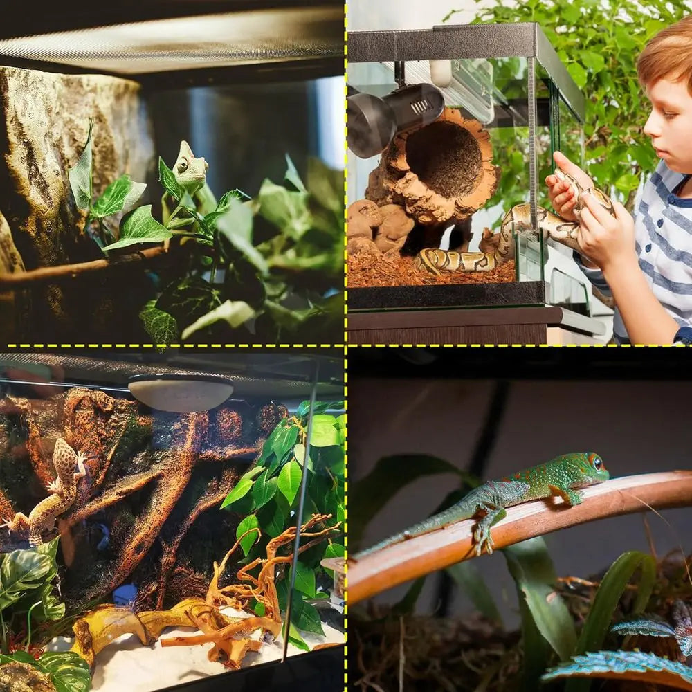 12x12x18 Glass Terrarium Tank, 10 Gallon, Heat-Resistant Frame, Dual Swing Doors for Reptile Habitat