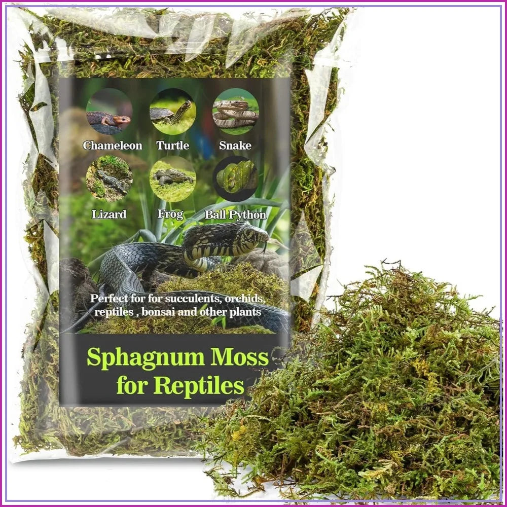 Sphagnum Moss for Reptiles - Green Dried Peat Moss Habitat Bedding for Snakes, Turtle, Frog, Gecko Substrate (5 oz)
