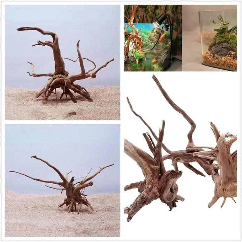 Natural Tree Trunk Driftwood Aquarium Fish Tank Reptile 2026Roots Plant Wood Decoration Ornament Accessory Aquarium Plants