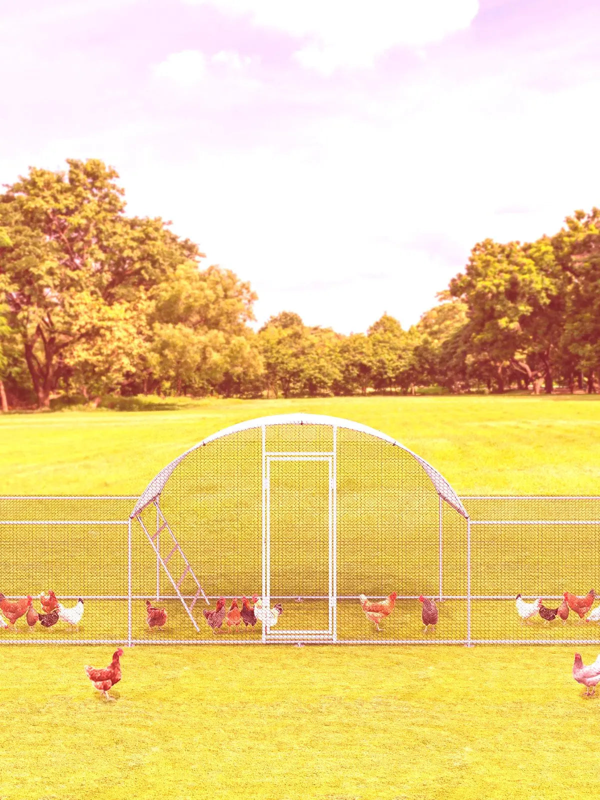23ft Metal Chicken Coop 3-Room Dome-Roof Poultry Pen Large Hen Run Enclosure Walk-in Galvanized Duck Rabbit Cage House