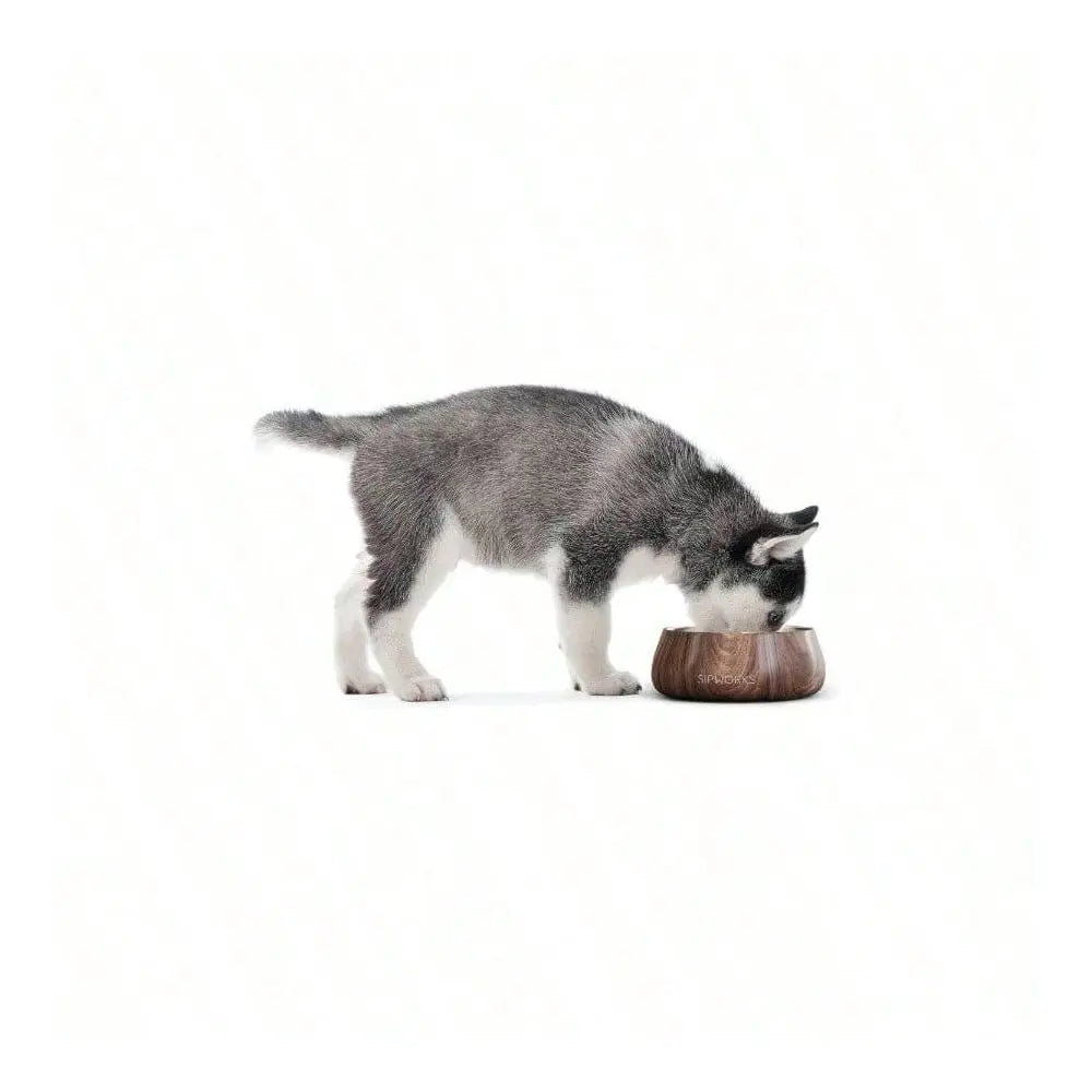 Dog Supplies Dogs Accessories Steel Dog Bowl U2013 32oz Weighted Metal Food And Bowls Dogs And Cats With Non Slip Base Pet Bowls
