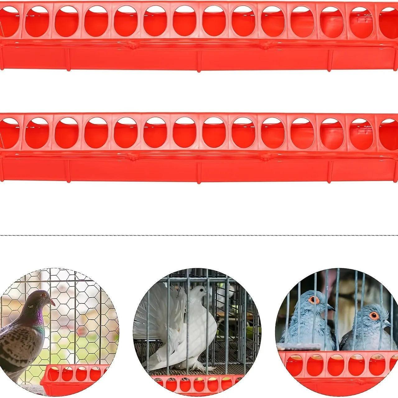 Multi-Hole Chick Brooder Feeding Trough, Anti-Waste Poultry Feeder for Chickens, Quails & Leghorns, Durable Farming Accessory