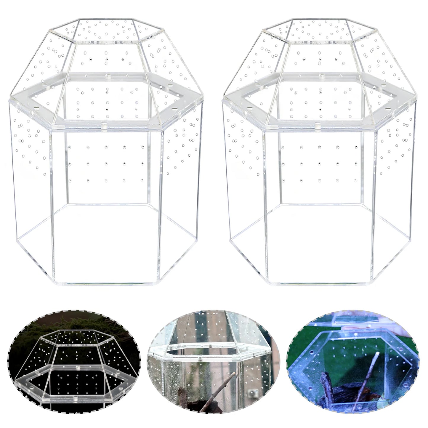 Jumping Spider Enclosure Acrylic Terrarium Habitat All-Side Ventilation Reptile Breeding Box Ventilated for Frog Crickets Snails