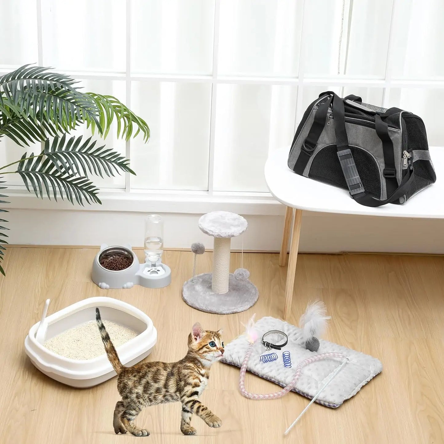 Kitten Starter Kit, 10 Pcs Cat Starter Kit for Indoor Cats Kitten Essentials Includes Litter Box, Pet Toy, Folding Carrier