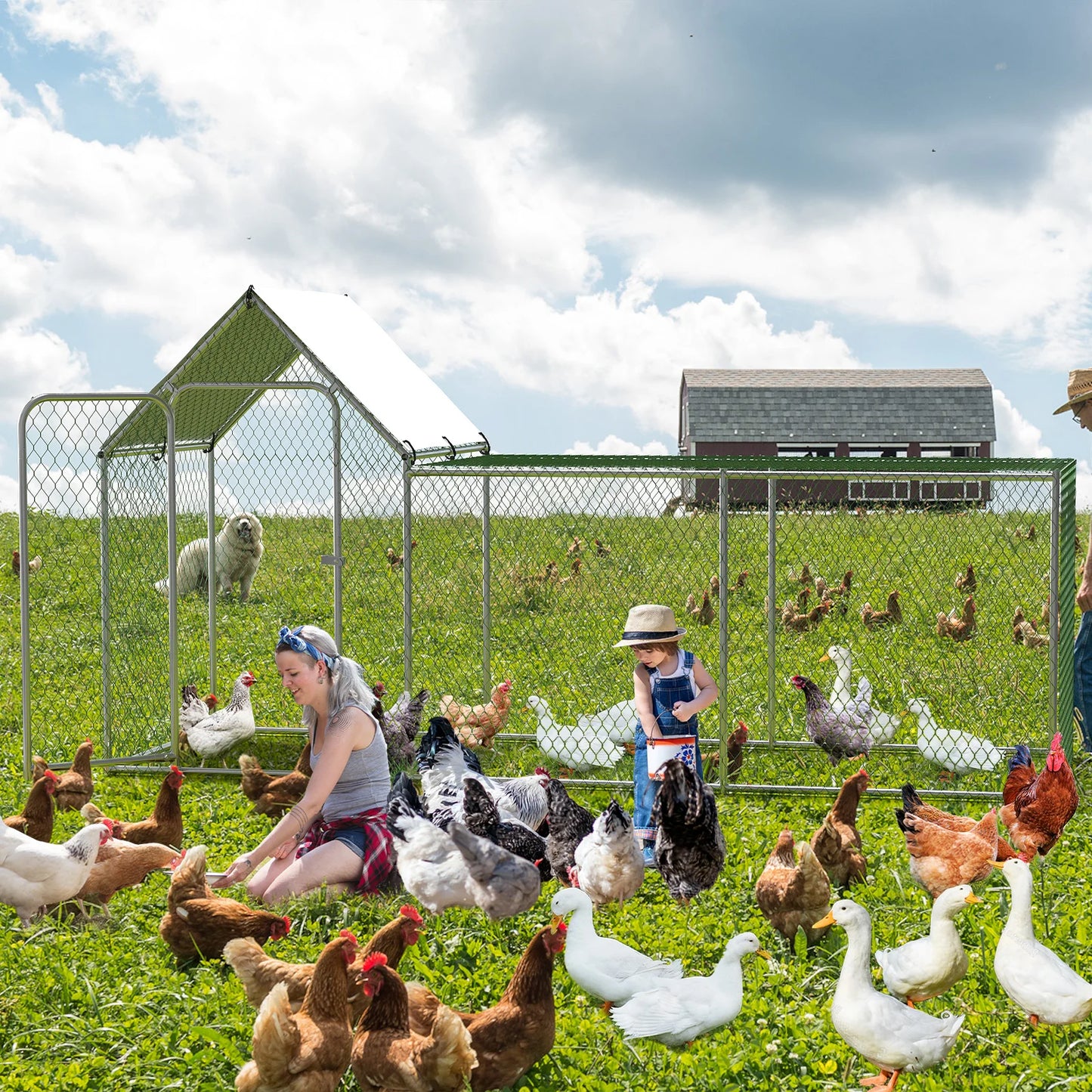 Large Walk-in Metal Chicken Coop,Outdoor Enclosure with Waterproof Anti-UV Canopy Standing Poultry Cage for Hens Rabbit Duck Run