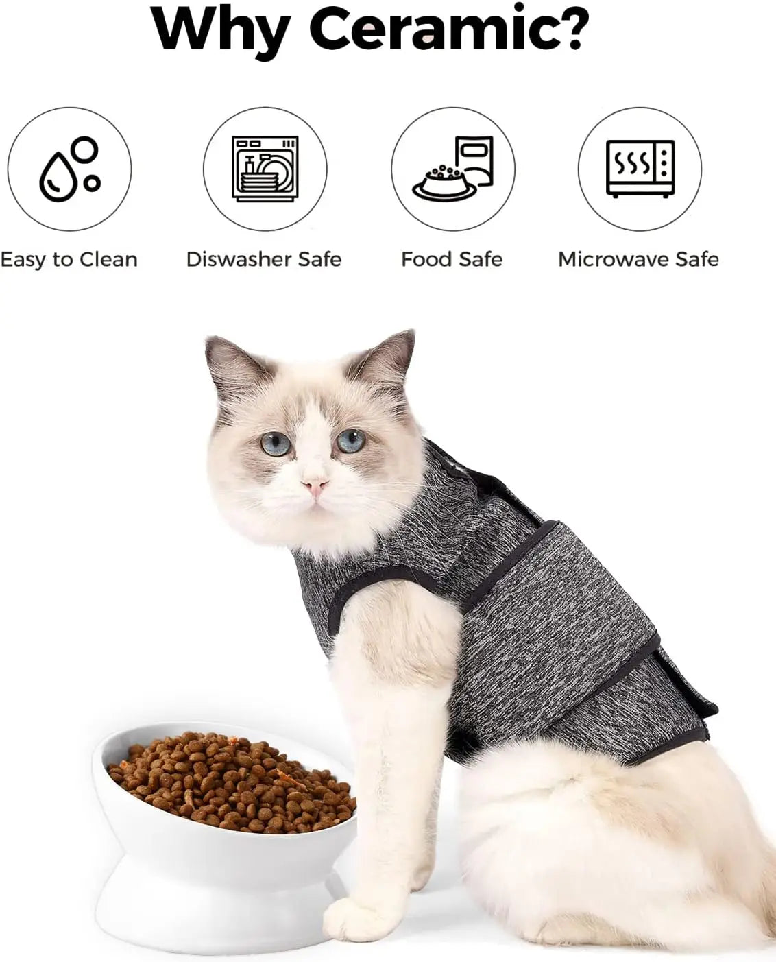 Elevated Cat Food Bowl, 5 Oz Ceramic Raised and Tilted Water Bowl, Anti Vomiting and Protect Pets' Spines Dishes for Small Dog,