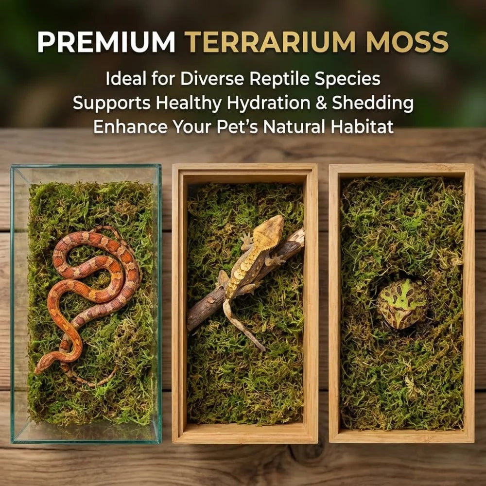 Sphagnum Moss for Reptiles - Green Dried Peat Moss Habitat Bedding for Snakes, Turtle, Frog, Gecko Substrate (5 oz)