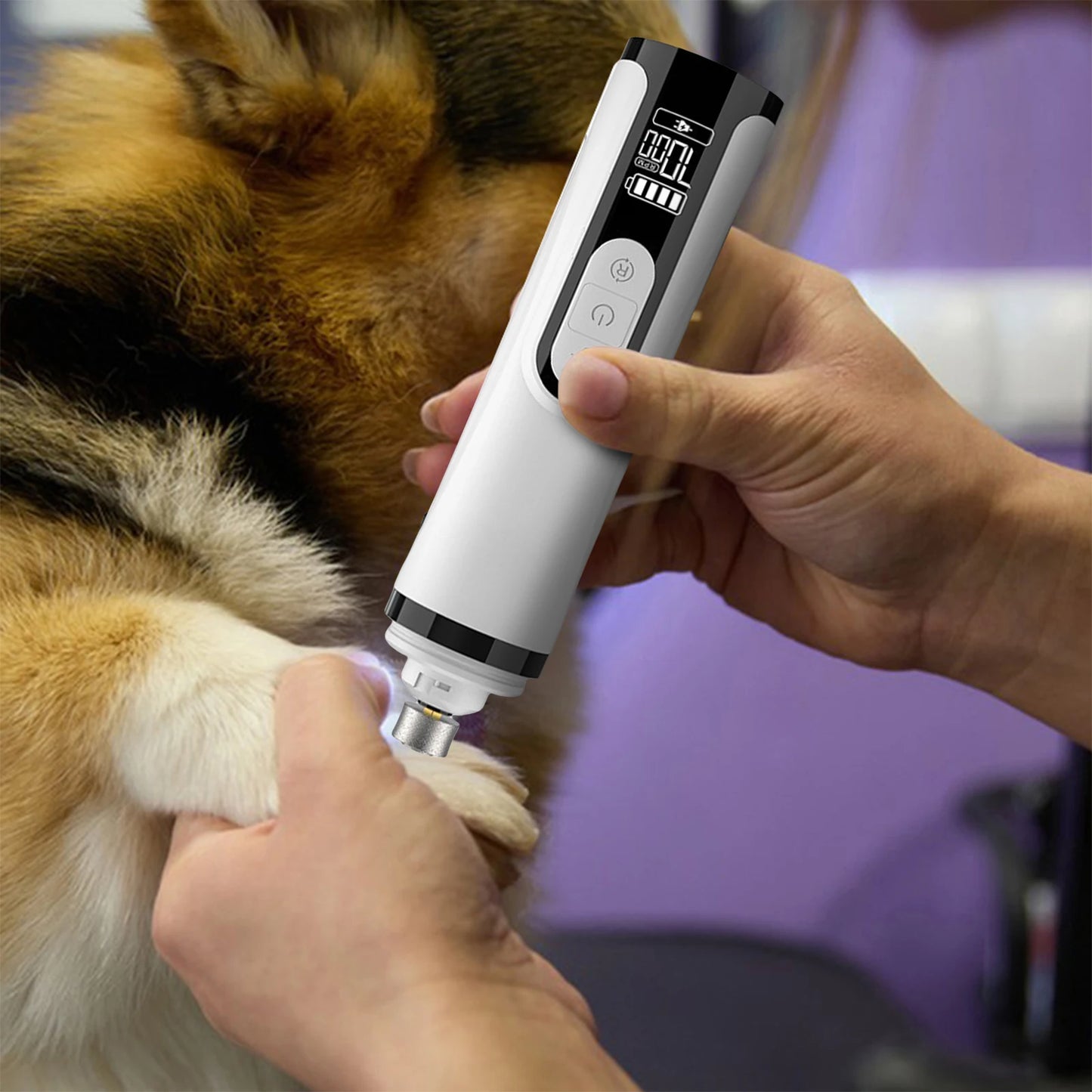 Electric Dog Nail Grinder Rechargeable Dog Nail Trimmer with 2 LED Lights Cat Nail Grinder for Small Medium Large Dogs Cats