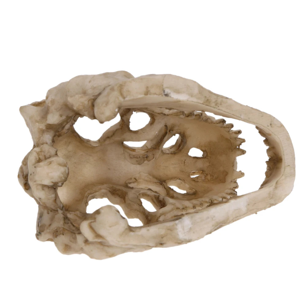 Resin Dinosaur Ornaments Decorative Props Mini Crocodile Head Decoration Crafts Arts Artificial Decor for Aquarium Landscaping