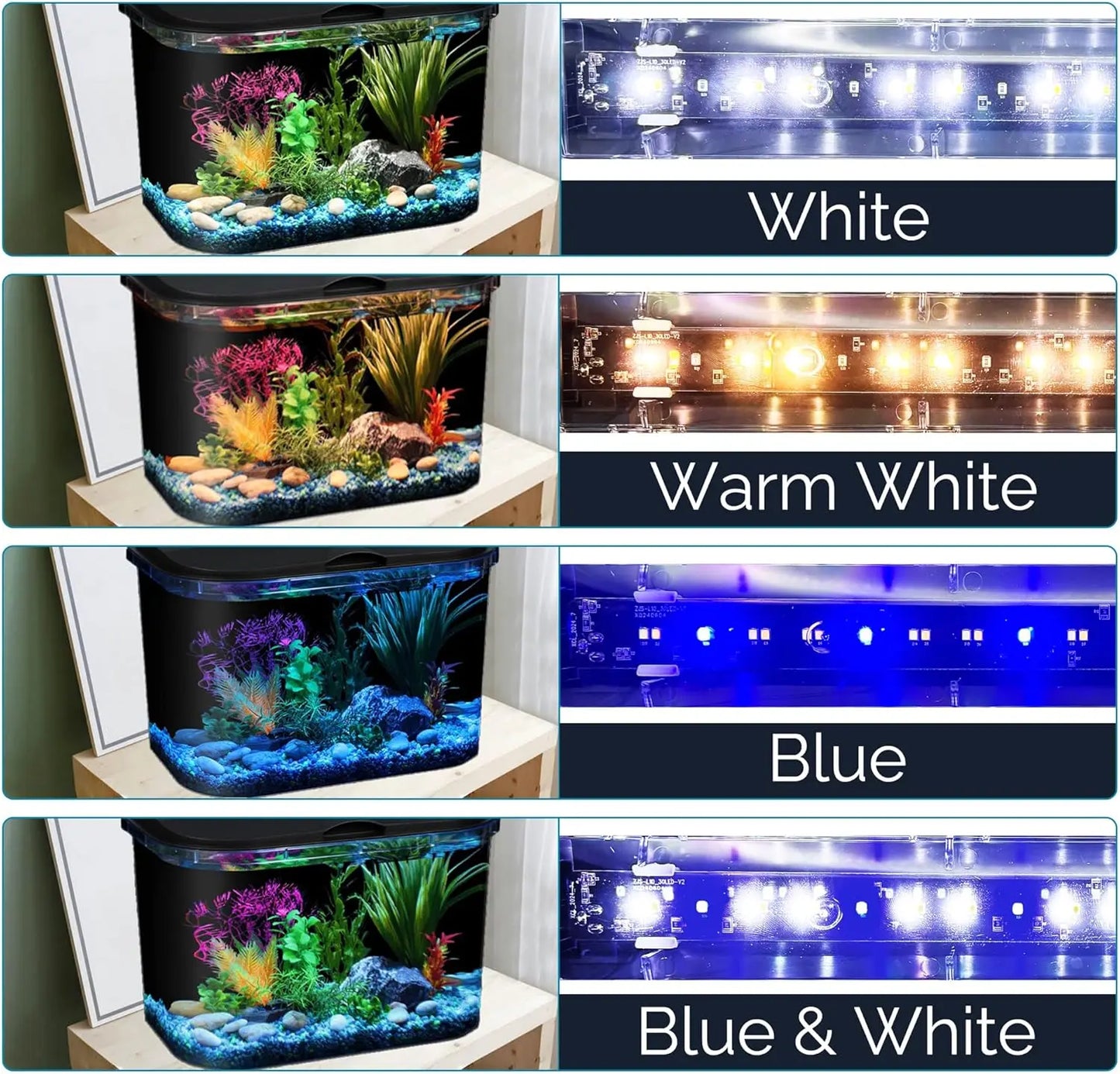 5-Gallon Aquarium Kit with LED Lighting and Power Filter for Tropical Fish