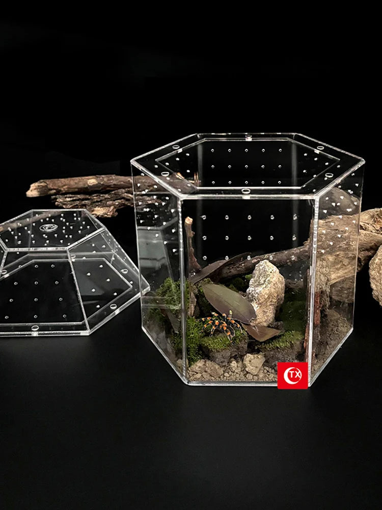 Jumping Spider Enclosure Acrylic Terrarium Habitat All-Side Ventilation Reptile Breeding Box Ventilated for Frog Crickets Snails