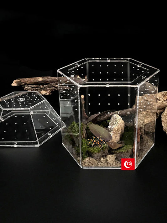 Jumping Spider Enclosure Acrylic Terrarium Habitat All-Side Ventilation Reptile Breeding Box Ventilated for Frog Crickets Snails