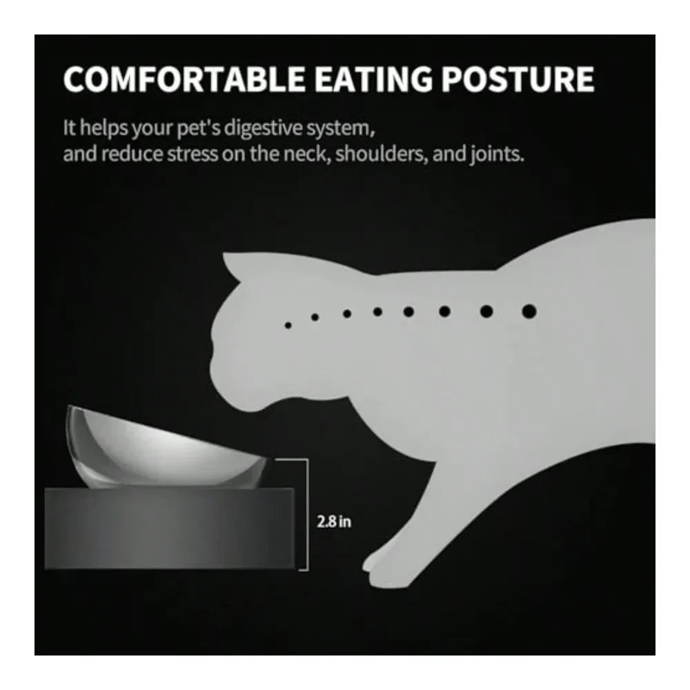 Dog Supplies Dogs Accessories Dog Cat Food Bowl 304 Stainless Steel Elevated Pet Food And Water Bowl Dishes Elevated Cat Bowls N