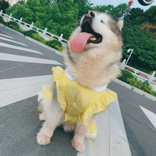Dog Dress Summer Plaid Breathable Pet Clothes for Medium Large Dogs Outdoor Walking Supplies Puppy Clothes Dog Clothes Designer